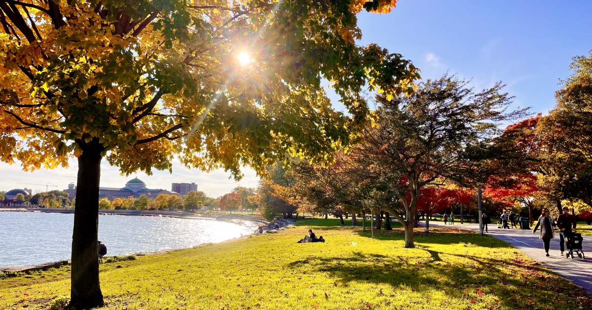About The College The University of Chicago The University of Chicago